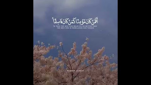 القارئ: مشاري العفاسي/{ أَفَمَن كَانَ مُؤْمِنًا كَمَن كَانَ فَاسِقًا ۚ لَّا يَسْتَوُونَ }س : السجدة