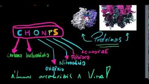 O que é o CHONPS na biologia?