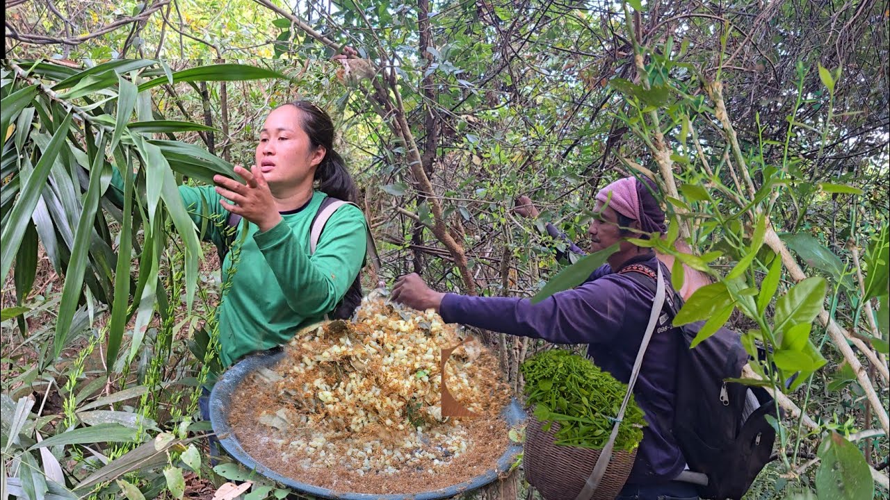 สุดยอดของป่าเริ่มหน้าแล้ง!! ไข่มดแดงเต่งๆ ยอดผักหวานป่าอ่อนๆ ดอกผักคอนแคนป่า หน่อไม้วันนี้12ก.พ2569