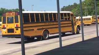 Various school buses