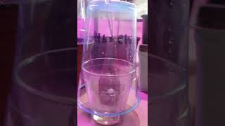 (Age 21+) Cannabis Seedlings and Seed Germination