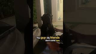 Download Lagu THIS IS WHY NO ONE COMES BACK… 🤦‍♂️💀 #canecorso #trending #pets #shorts MP3