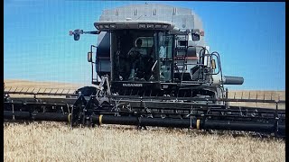 Gleaners on the move R75, R72 wheat harvest in North Dakota