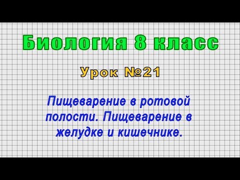 Видео: Что такое неполное пищеварение?