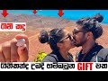 ගිනිකන්ද උඩදි දුන්න SURPRISE GIFT එක 🎁❤️|🌋ගිනි කදු 8ක් එකම තැන | Fuerteventura | DAY9 | Binario 12