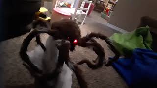 the jumping spider from Spirit Halloween