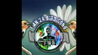 Suara pikat burung kemade kapasan kemiri sogon dan burung kemanten   100% ampuh