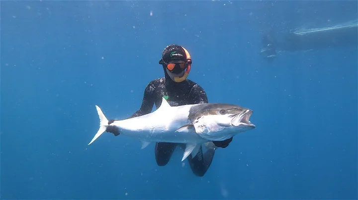 Wettie TV |  Spearfishing OFFSHORE New Zealand | Snapper, Kingfish and more