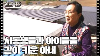 [며느라기 46년] (3/15) [인간극장/Screening Humanity] | KBS 230515 방송