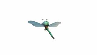 3d Model Dragonflies Are Fast-moving Insects