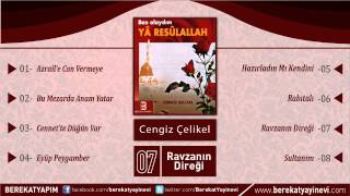 Cengiz Çelikel - Ravzanın Direği Resimi