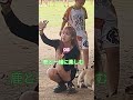 奈良公園で鹿と遊ぶ外国人 💋♥️🌿
