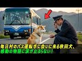 秋田犬の野良犬が毎日村のバス運転手に会いに来る、隠された物語に皆が涙をこらえきれませんでした。#感動ストーリー #日本#ゆっくり解説