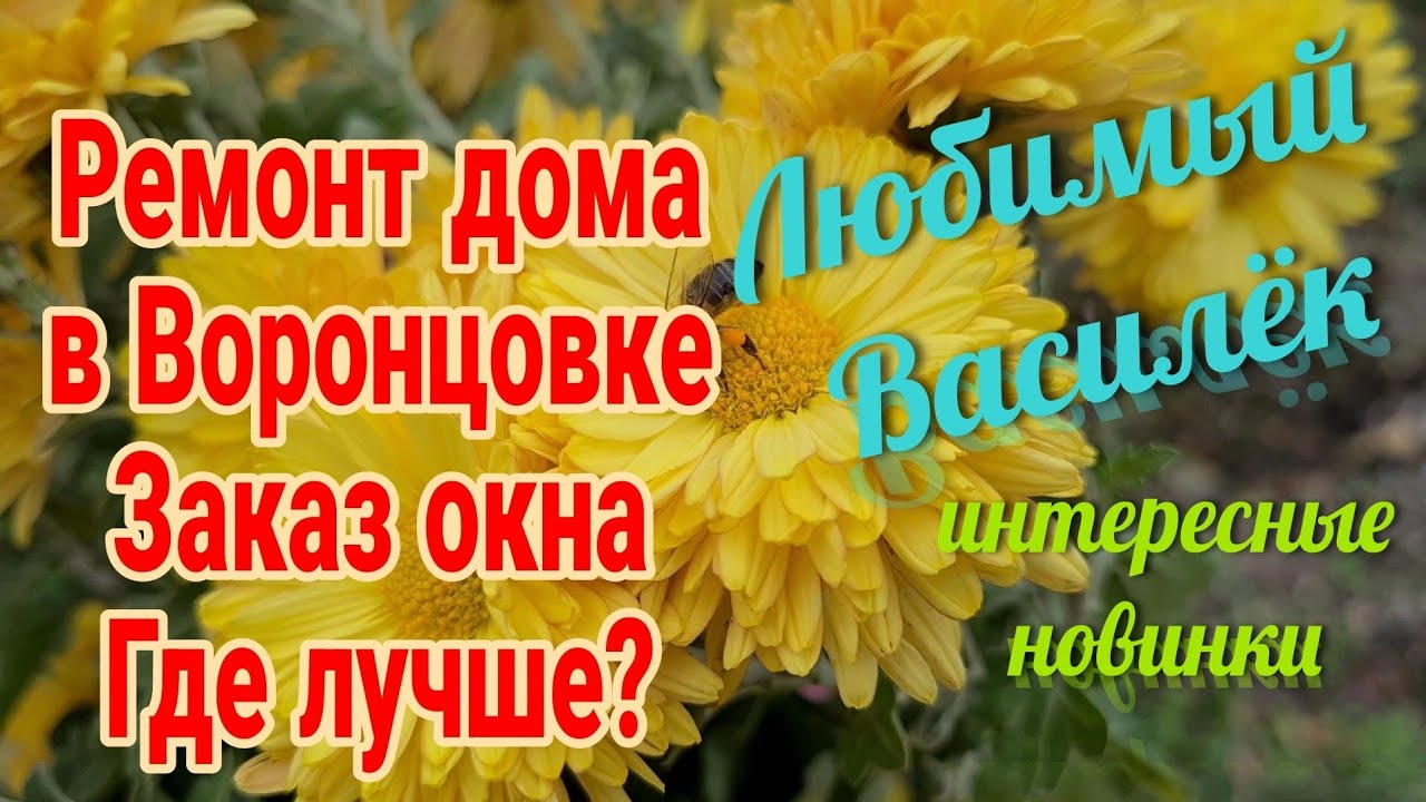 Ейск🌹Ремонт дома на юге. Воронцовка. Заказ окна. Где лучше? Любимый ...