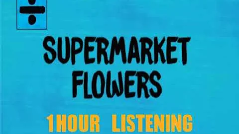 [NoAD 1HOUR LOOP]Ed Sheeran - Supermarket Flowers[가사/해석/자막] (에드시런) 팝송 따라 부르기