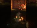Who Would've Thought That Fire Beats Plant #eldenring #gaming #games #darksouls #eldenringgameplay