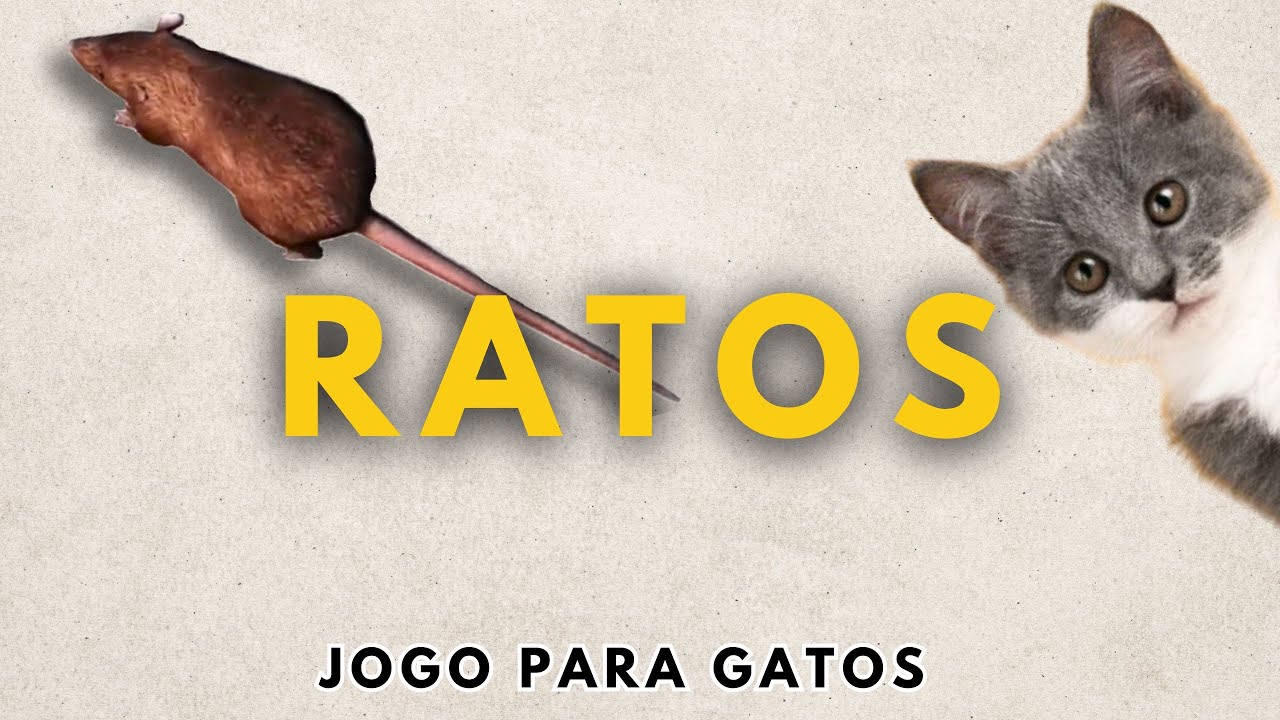 JOGOS COM GATOS – Trevo Alimentos Rações