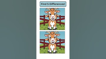 Find 5 Differences #283