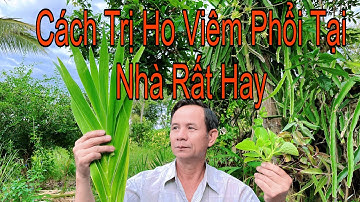 5 Bài Thuốc Chữa Ho Viêm Phổi Cực Kỳ Hiệu Quả Mà Không Tốn Kém 