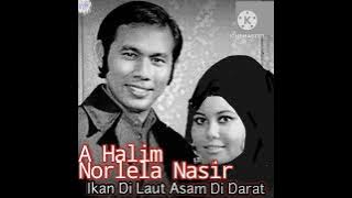 A HALIM & NORLELA NASIR- Ikan Di Laut Asam Di Darat