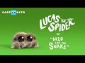 Lucas the Spider - Arlo the Owl ™And The Snake - Short