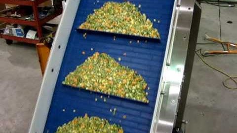 Omni Metalcraft Corp. Frozen Vegetable Sanitary Incline