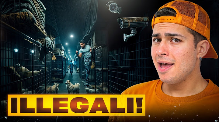 Entro nel MERCATO più ILLEGALE del MONDO e Trovo…