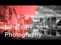 Infrared photography capturing scotlands japanese gardens in black and white