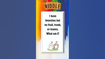 Unraveling the Mystery: What Has Branches But No Fruit, Trunk, or Leaves? 🤔🌳#shorts #riddle #puzzle