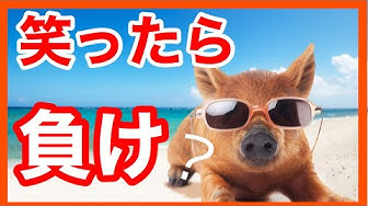 面白い話 Youtube 面白い話 Youtube