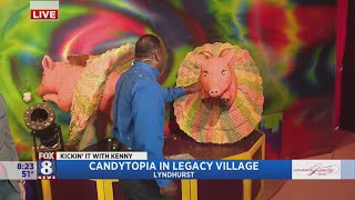 Kenny s having a sweet morning at Candytopia