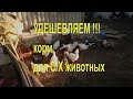 Самый дешевый корм для гусей, уток, свиней, индюков..