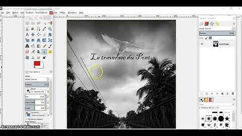 Utiliser le tampon (clone tool) avec GIMP.