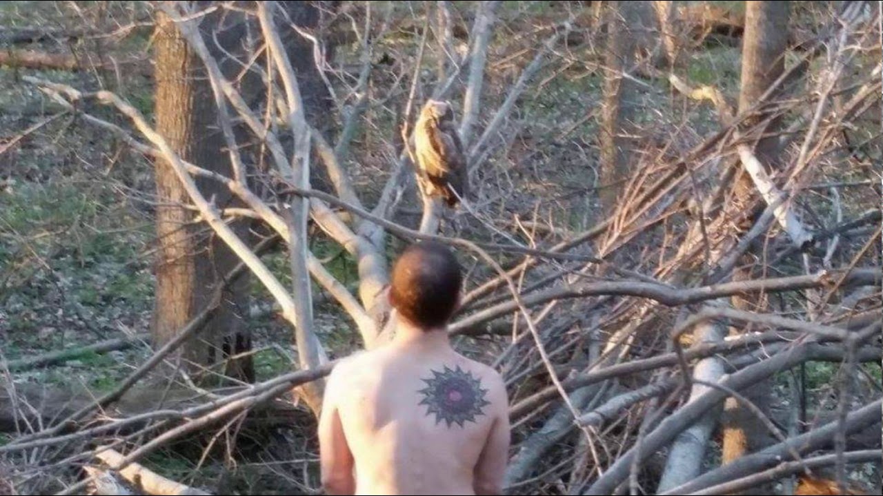 Steven Riddle, Songwriter