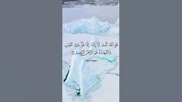 تلاوة قرأنية خاشعة / بصوت القارئ ابراهيم شرف ابوطالب