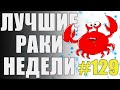 ЛРН выпуск №129. БАЛАНСИРОВЩИК СОШЁЛ С УМА!!! [Лучшие Раки Недели]