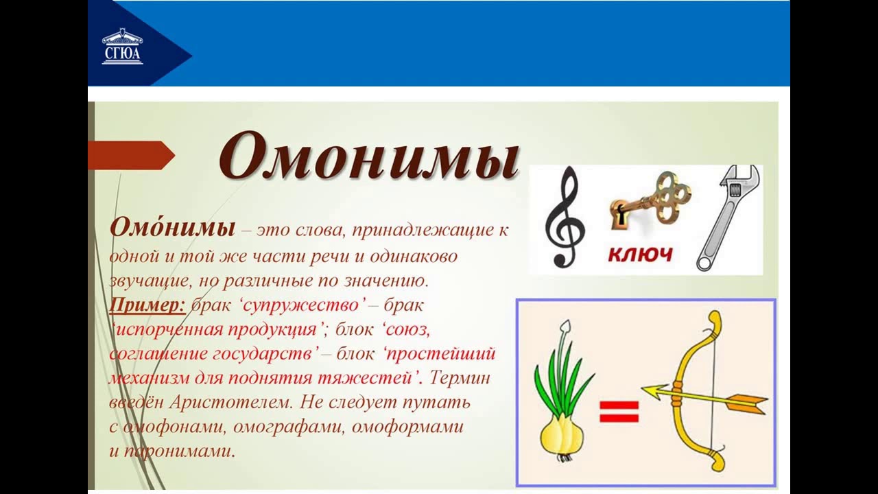 Слово в котором есть слово край. Омонимы. Слова омонимы. Омонимы примеры. Что такое омонимы в русском языке.
