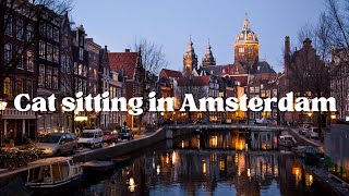 Amsterdam Adventures: Exploring the City & CatSitting Chronicles!