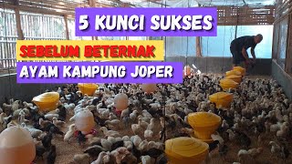 tips menjadi peternak ayam sukses ala nanda brewok. 