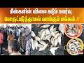 மீன்களின் விலை கடும் உயர்வு.. பொருட்படுத்தாமல் வாங்கும் மக்கள்..!!
