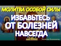 Избавьтесь от болезней навсегда. Святой врачеватель Апостол Лука излечит даже тяжелые недуги