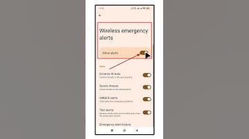 Wireless emergency alerts #smartphone #shorts #settings  #viralvideo