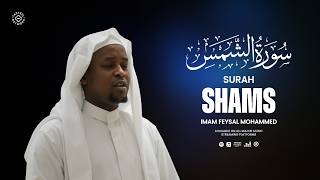 Surah Shams | Soul Soothing Quran Recital | Path to Soul Purification | سورة الشمس
