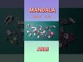 MANDALA / ARM / SPEED / ASMR