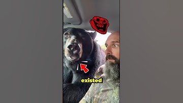 This Is Why You NEVER Leave Your Car Open in Bear Country…