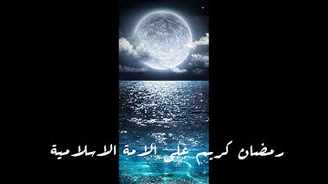 وتوكل علي الحي الذي لا يموت // خالد الجليل تلاوة قمة الروعة