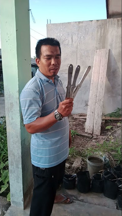 Lempar Pisau / Throw Knife