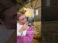 This is what unconditional love looks like🥰 #fouryou #love #animalslove #love #horse