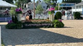 Devon Horse Show Remember Romance Small Jr Hunter 3'3" Handy Score 85 3rd out of 25