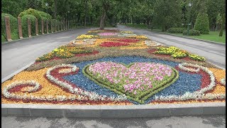 На алеї зірок у саду Шевченка комунальники створюють нові клумби|Харьковские известия|